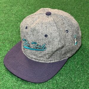 The Tick Comic Book Ben Edlund Fox 90s Vintage Snapback Wool Gray Cap Hat